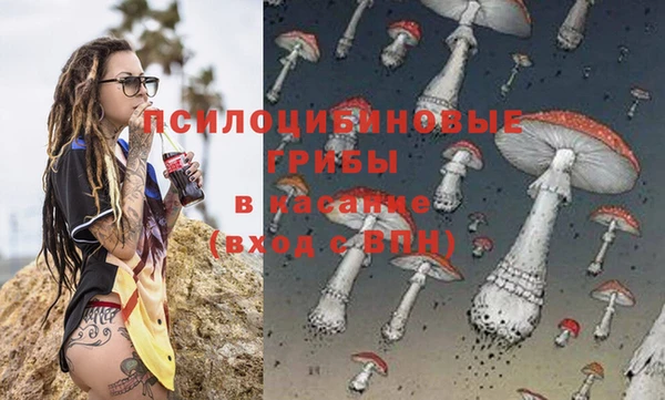 скорость Бородино